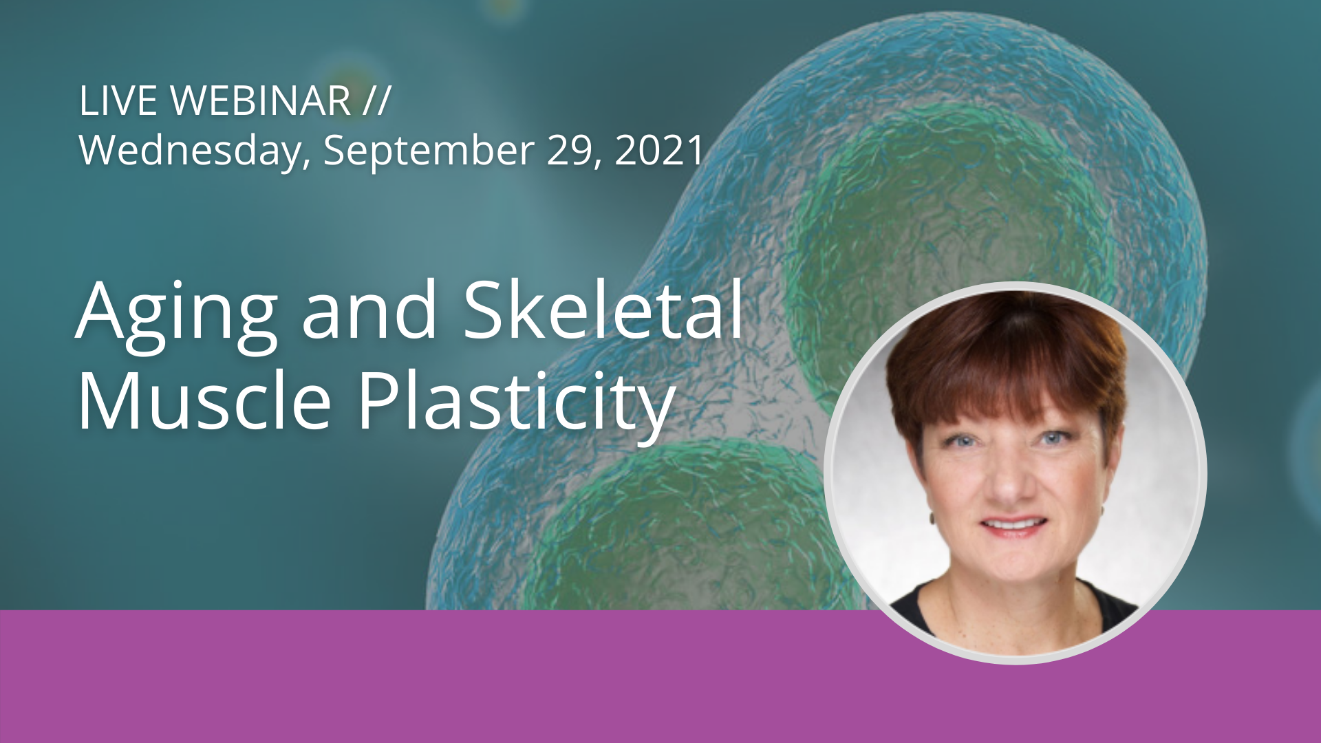Aging and Skeletal Muscle Plasticity
