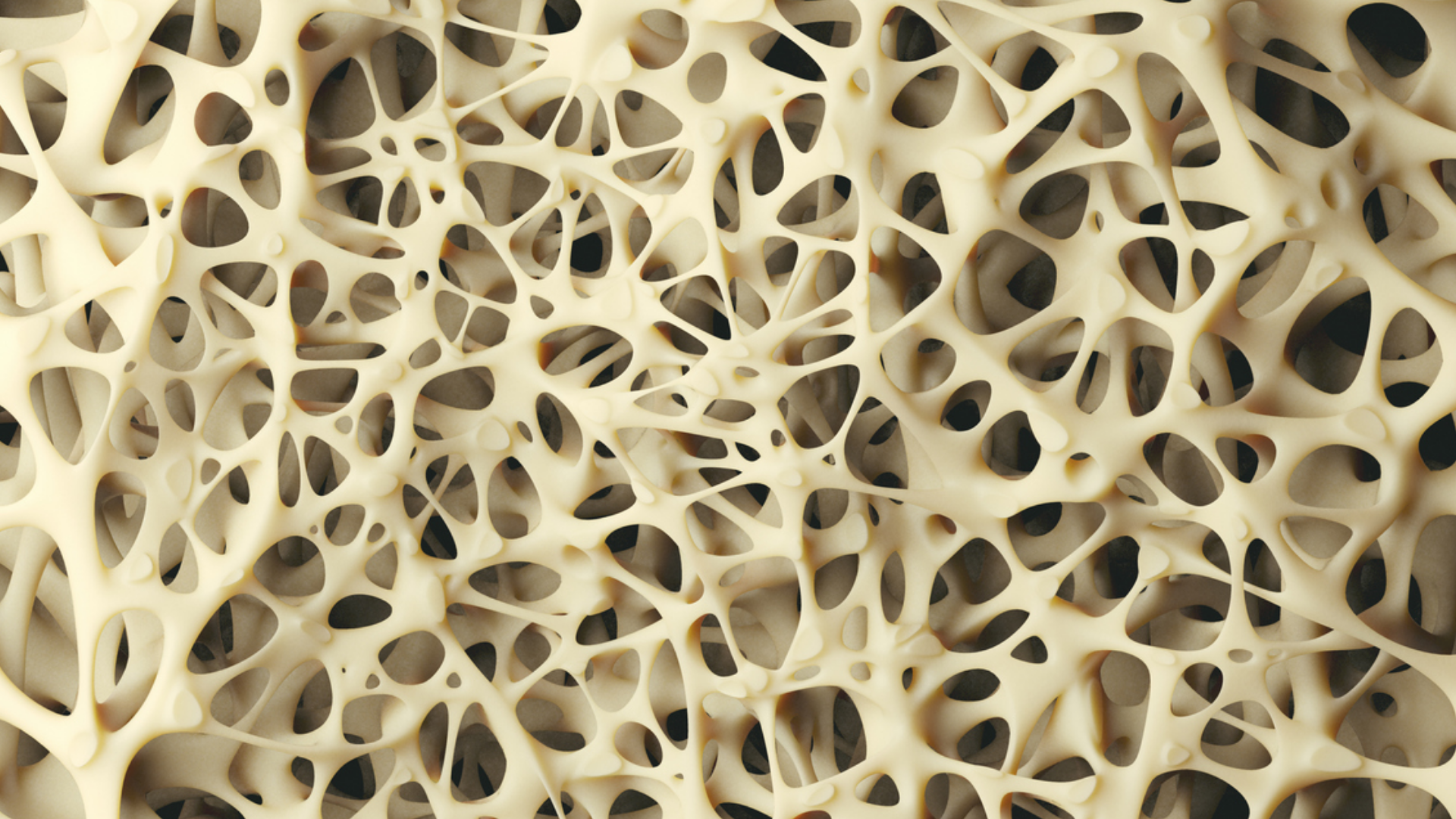 A Step Further: Customizing the 3-in-1 Whole Animal System