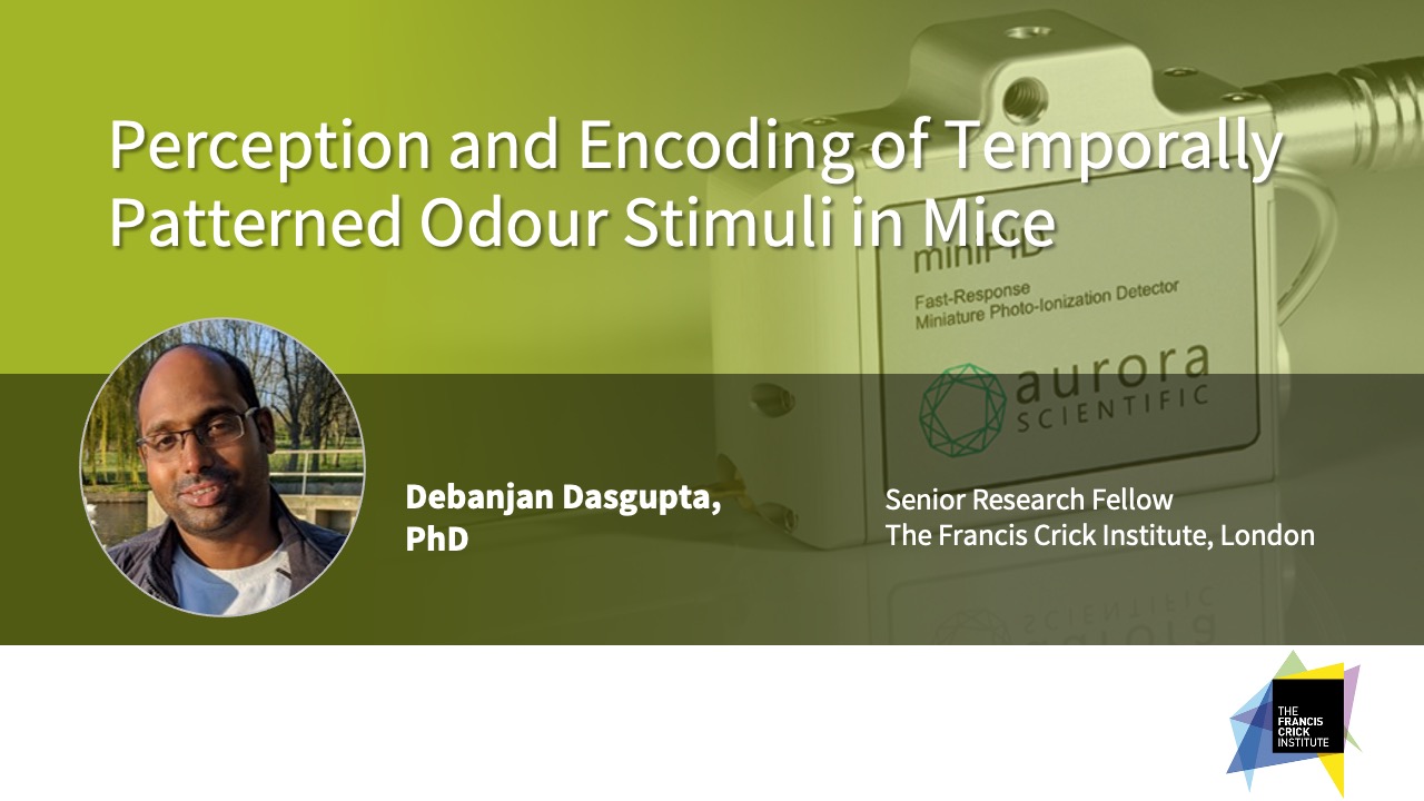 Perception and Encoding of Temporally Patterned Odour Stimuli in Mice
