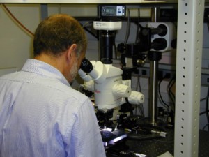 Figure 3B