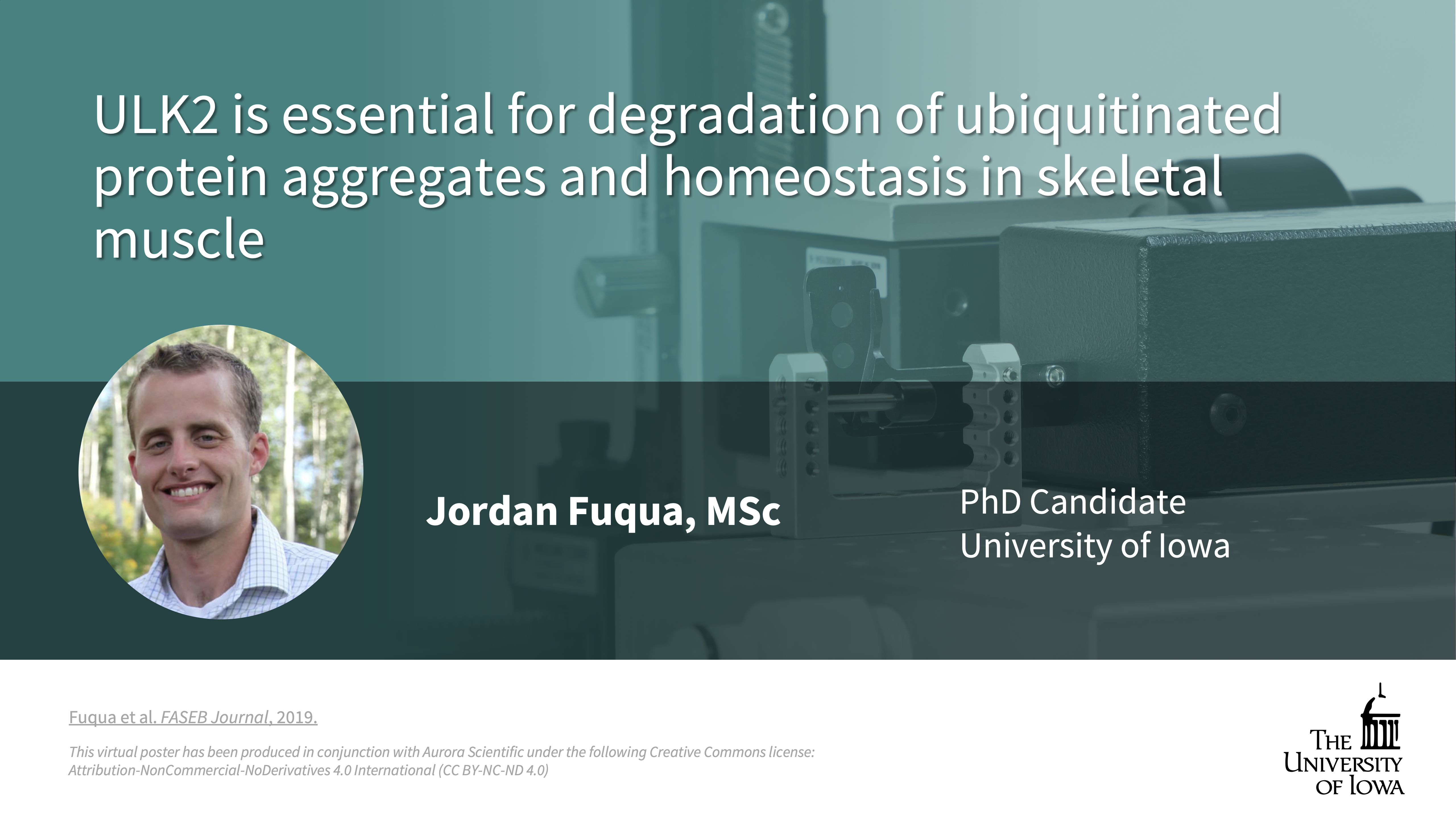 ULK2 is Essential For Degradation of Ubiquitinated Protein Aggregates and Homeostasis in Skeletal Muscle