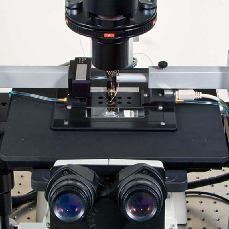 803B direct mounting on inverted microscope 803B direct mounting on inverted microscope