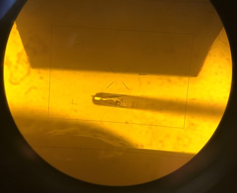 Figure 2: Optical Periscope and AFM tooling shown together through microscope eyepieces Figure 2: Optical Periscope and AFM tooling shown together through microscope eyepieces