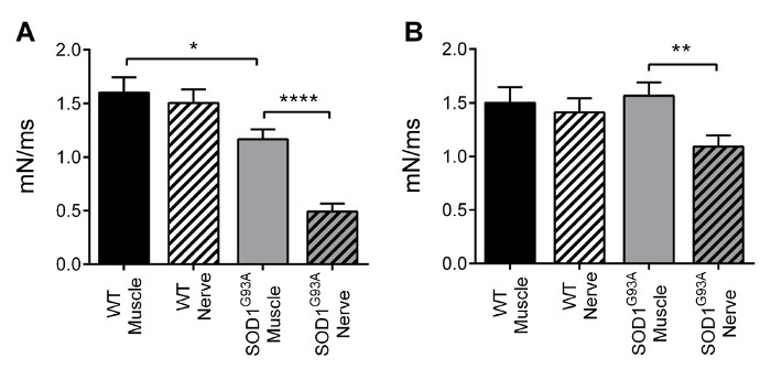 Figure 3: Specific tetanic force measured from soleus and diaphragm intact nerve-muscle preparation. Rizzuto et al. JoVE (2017). Specific tetanic force measured from soleus and diaphragm intact nerve-muscle preparation. Rizzuto et al. JoVE (2017).
