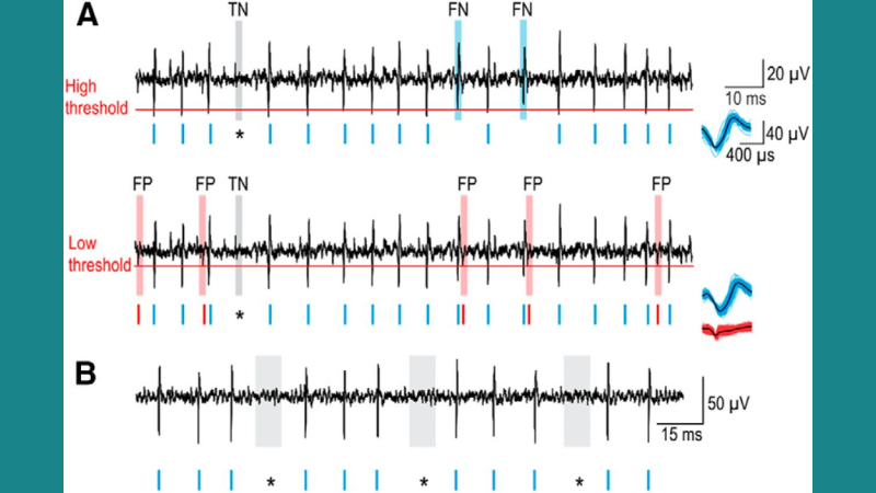 CNS Integration of Tactile Stimulation