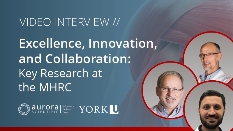 Excellence, Innovation, and Collaboration