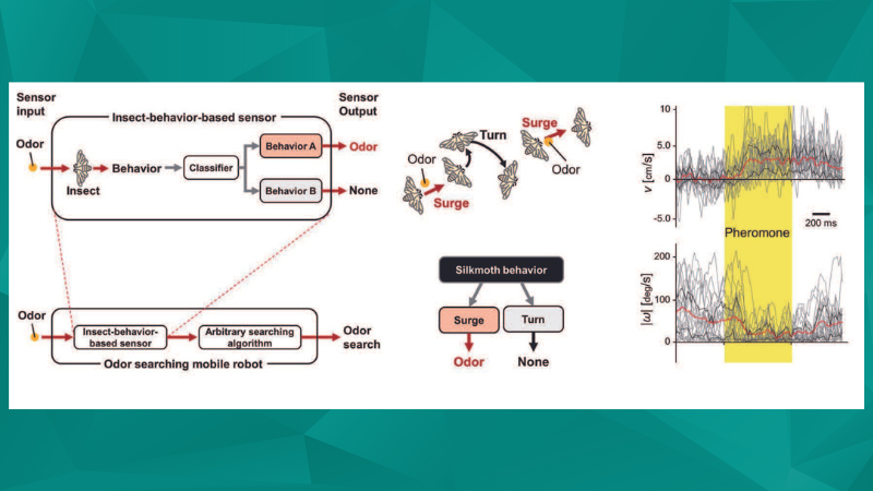 Scents of Security - Emerging Olfaction Applications with Biorobots
