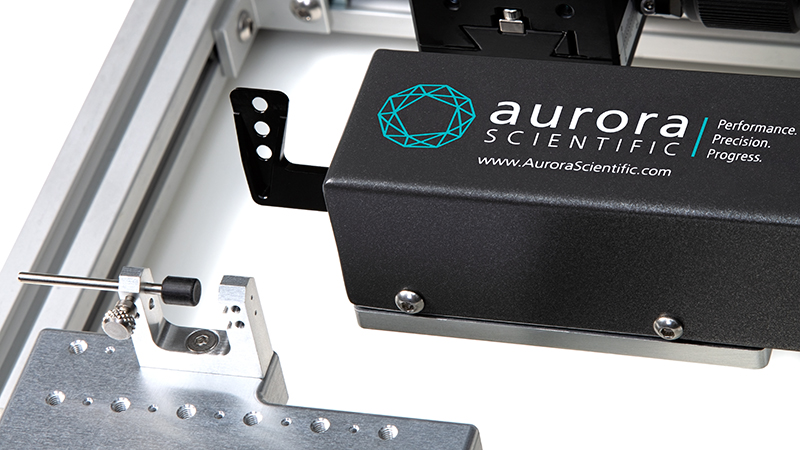 809C in-vivo with 300E