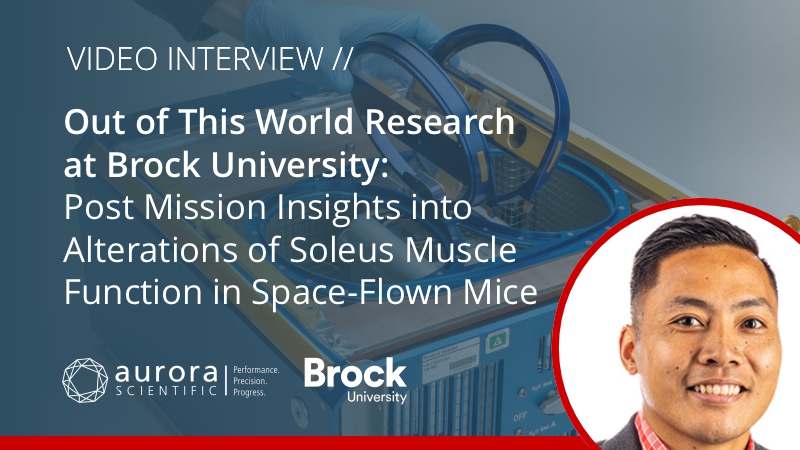 Out of This World Research at Brock University: Post Mission Insights into Alterations of Soleus Muscle Function in Space-Flown Mice